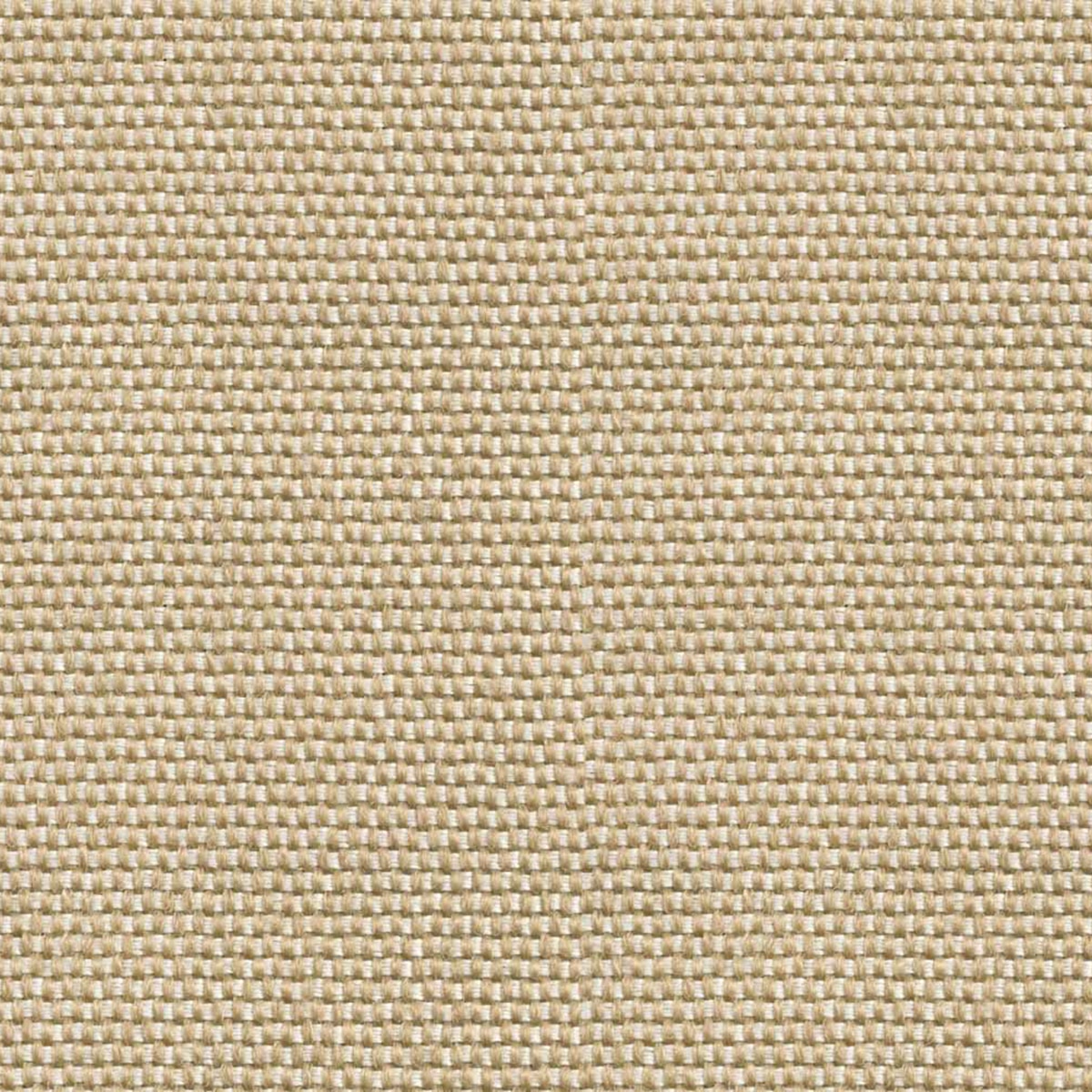 Papel pintado Yuca de la colección Sarape Coordonné - Arena Arena-1