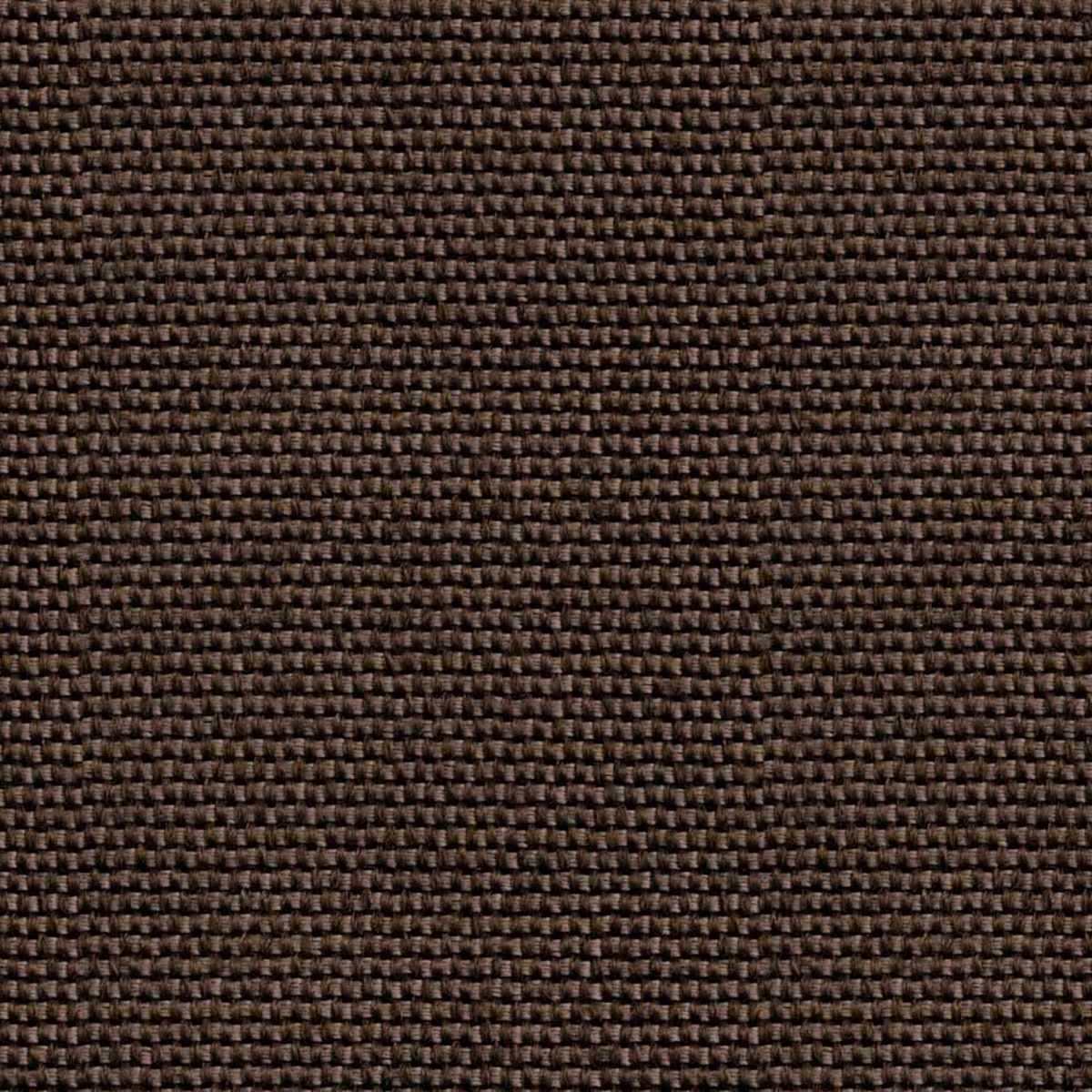 Papel pintado Yuca de la colección Sarape Coordonné - Carbón Carbón-1