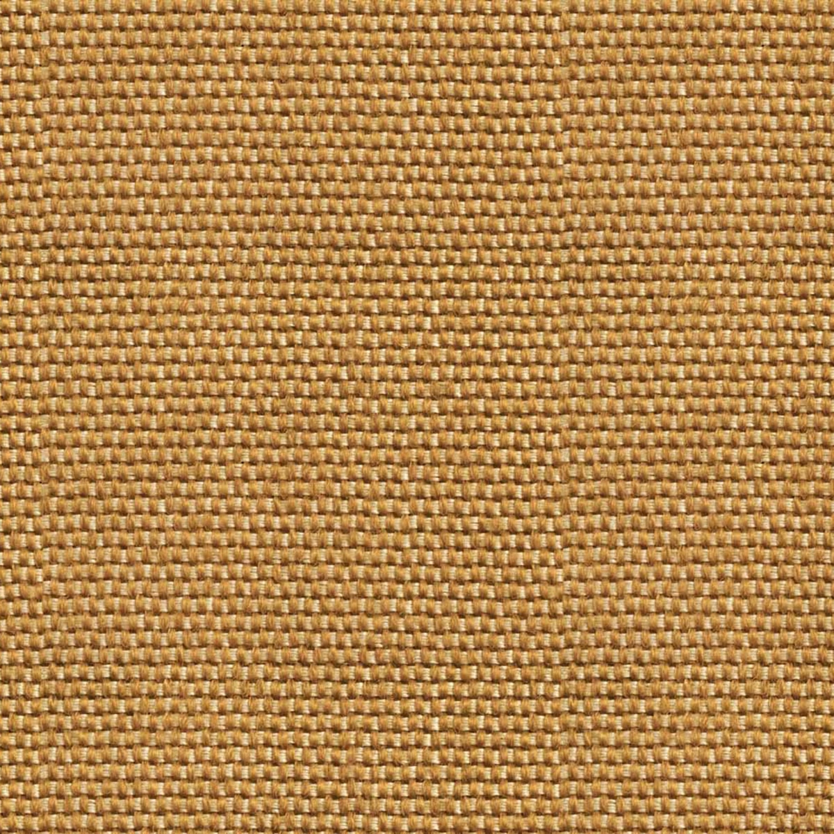 Imagem 0 de Papel de Parede Yuca da Coleção Sarape