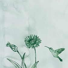 Verde Verde