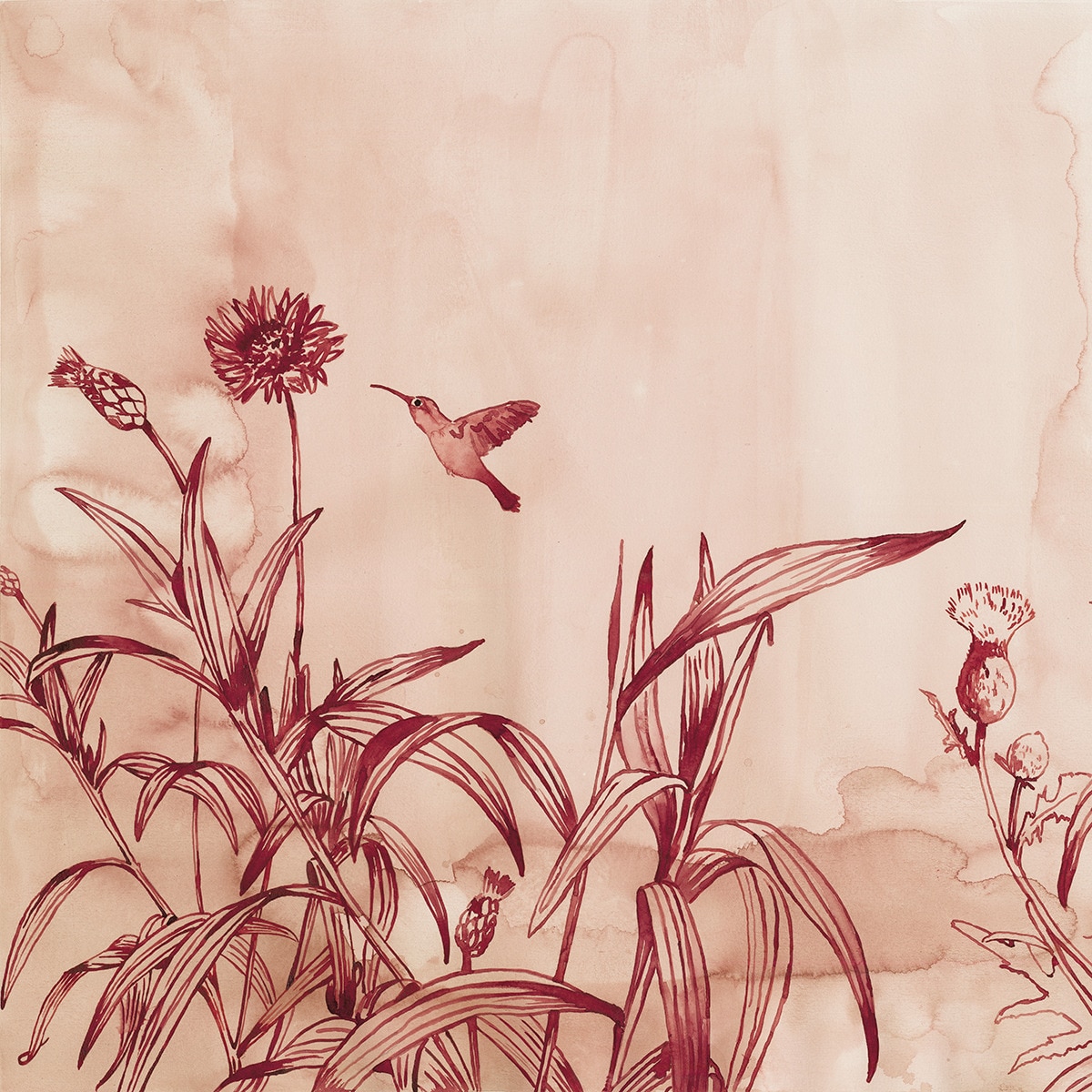 Papel de parede fotográfico Meadow Rasch Vermelho-1