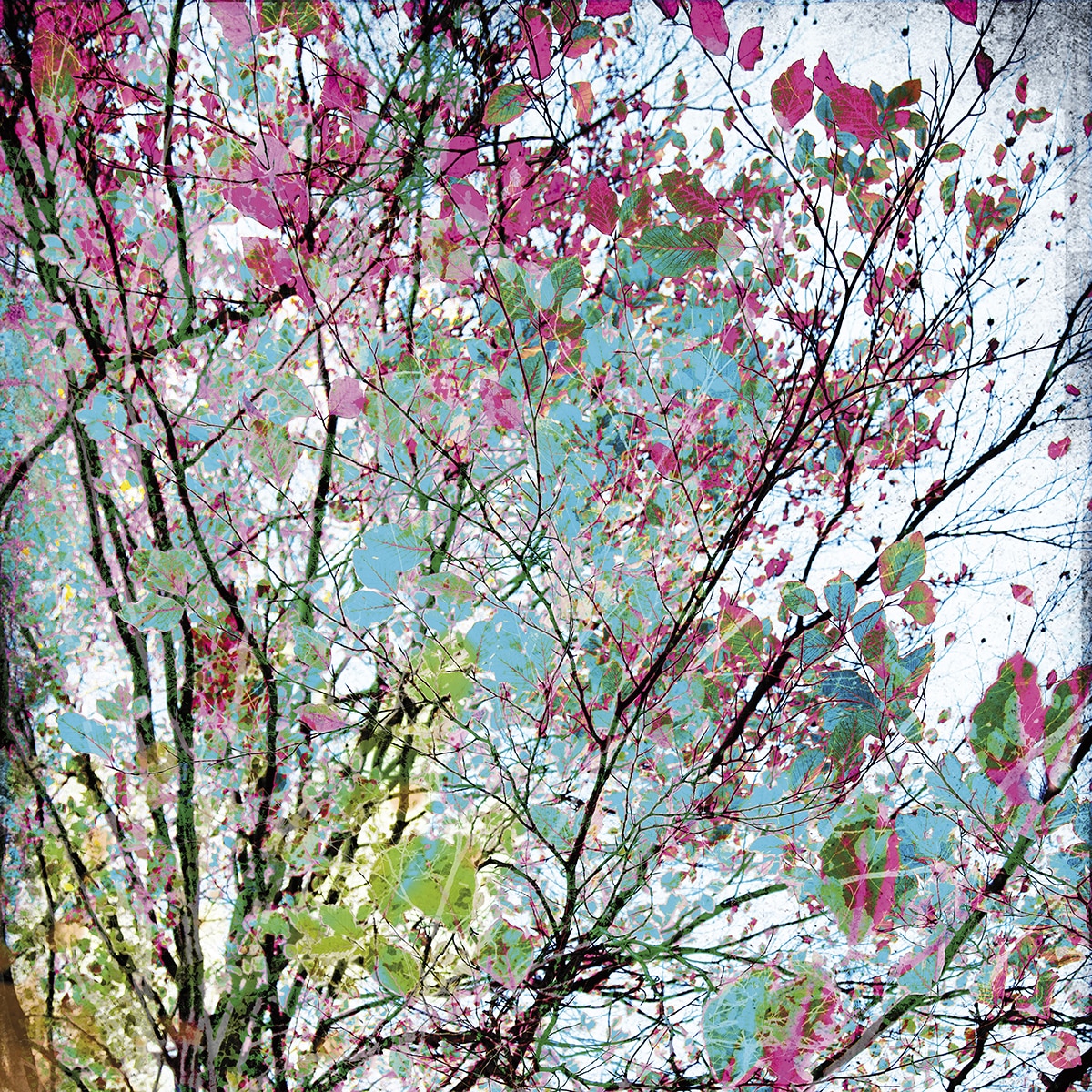 Papel de parede fotográfico Branches Rasch Verde-1