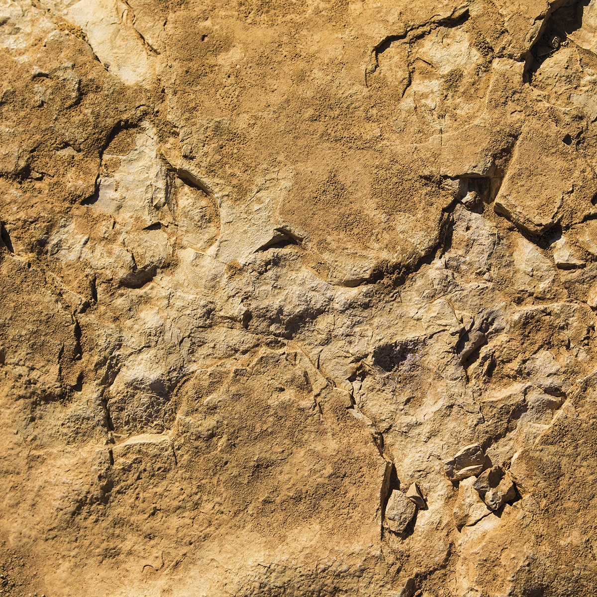 Papel de parede fotográfico Stone Rasch Bege-1
