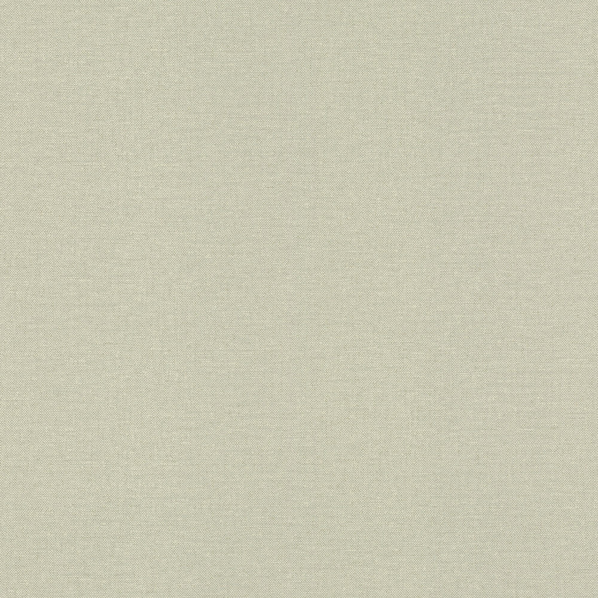 Papel pintado TNT Liso Texturado Singapur Rasch - Verde 0,53 x 10 m Verde-1