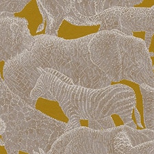 Dourado