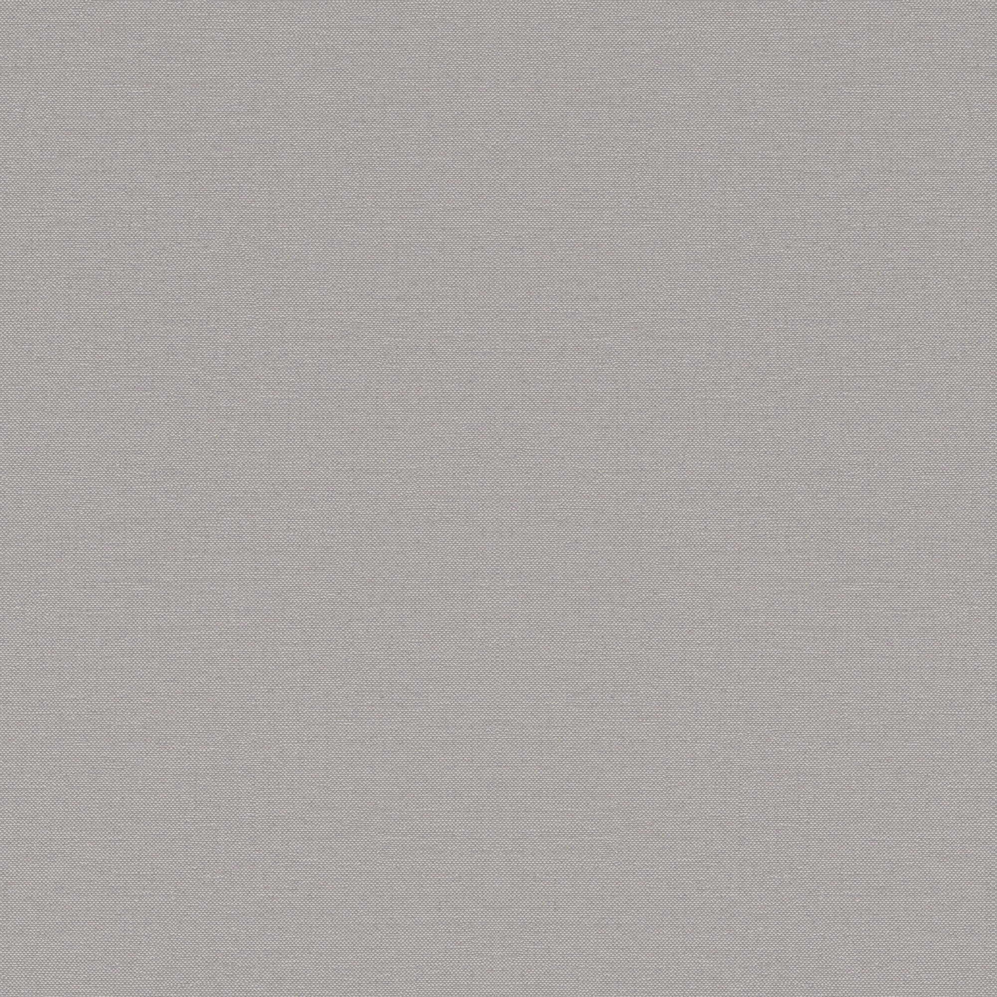 Papel pintado TNT Liso Texturado Singapur Rasch - Gris 0,53 x 10 m Gris-1
