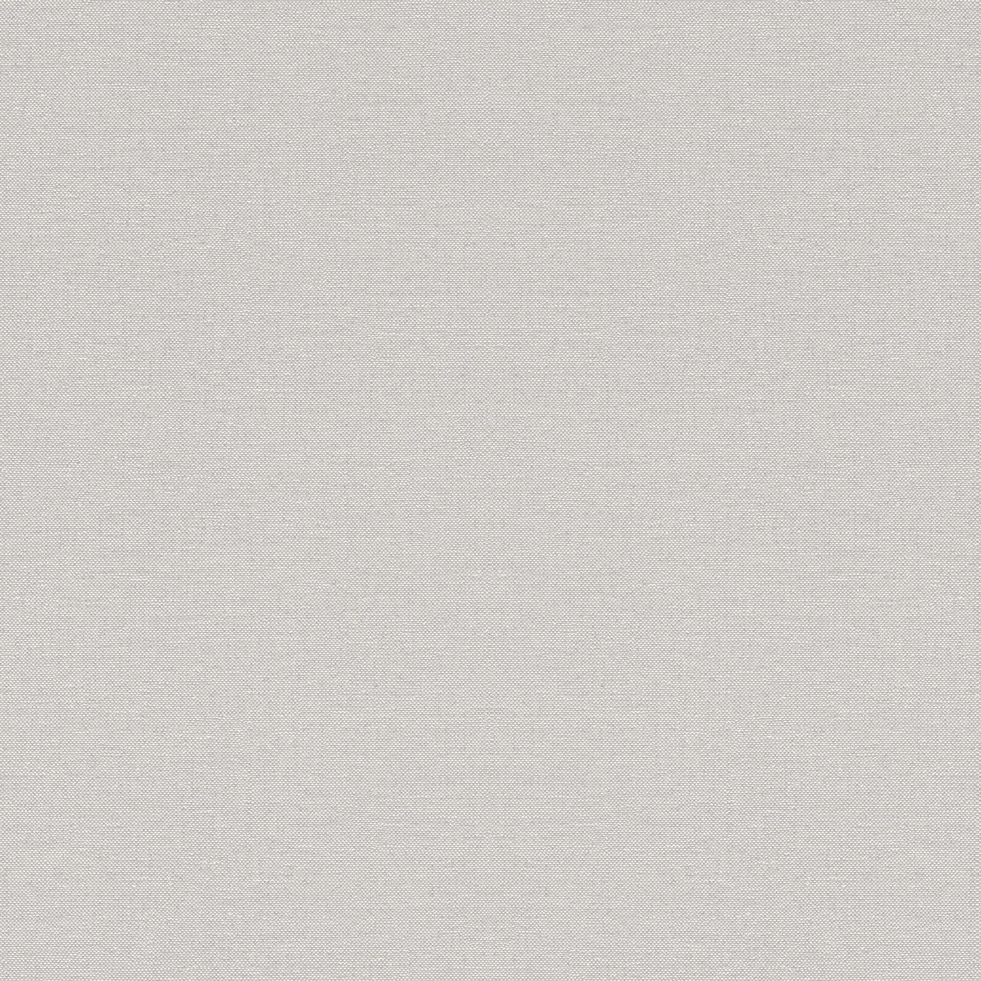 Papel pintado TNT Liso Texturado Singapur Rasch - Gris claro 0,53 x 10 m Gris claro-1