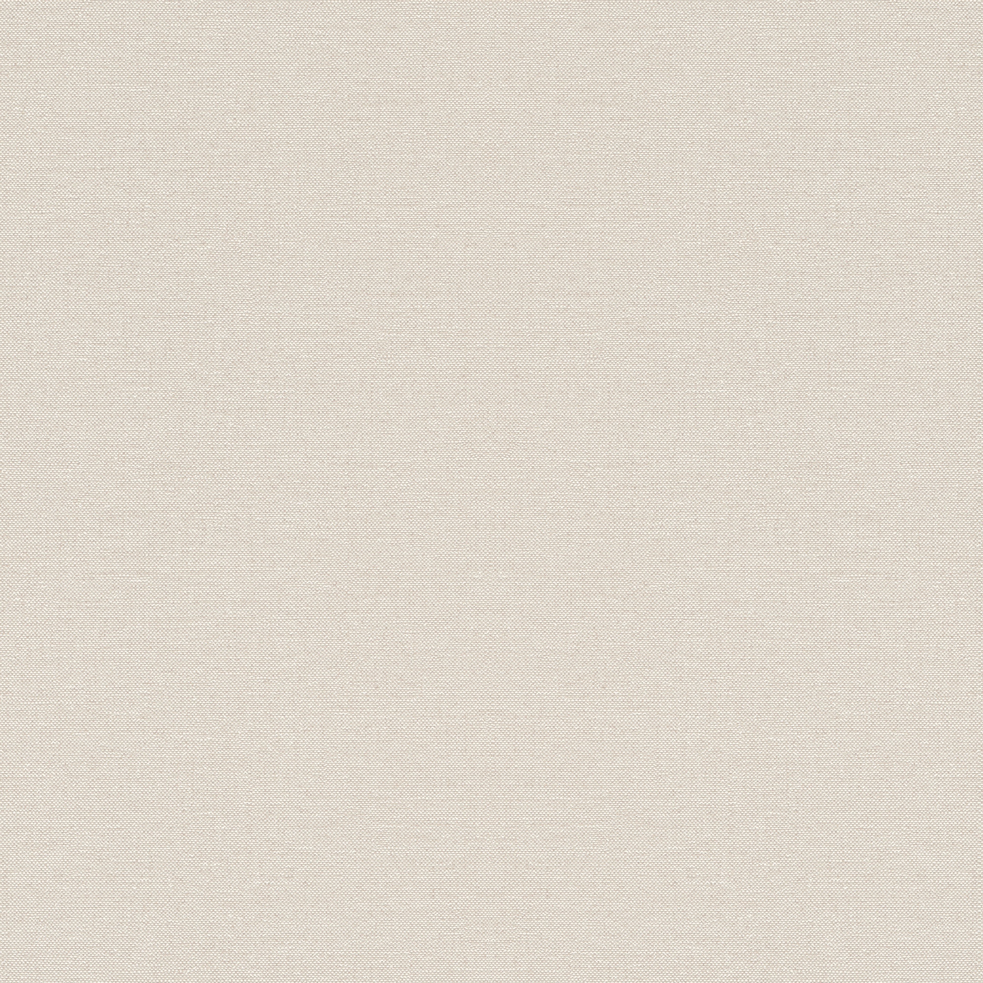 Imagen 1 de Papel pintado TNT Liso Texturado Singapur Rasch - Beige 0,53 x 10 m Beige
