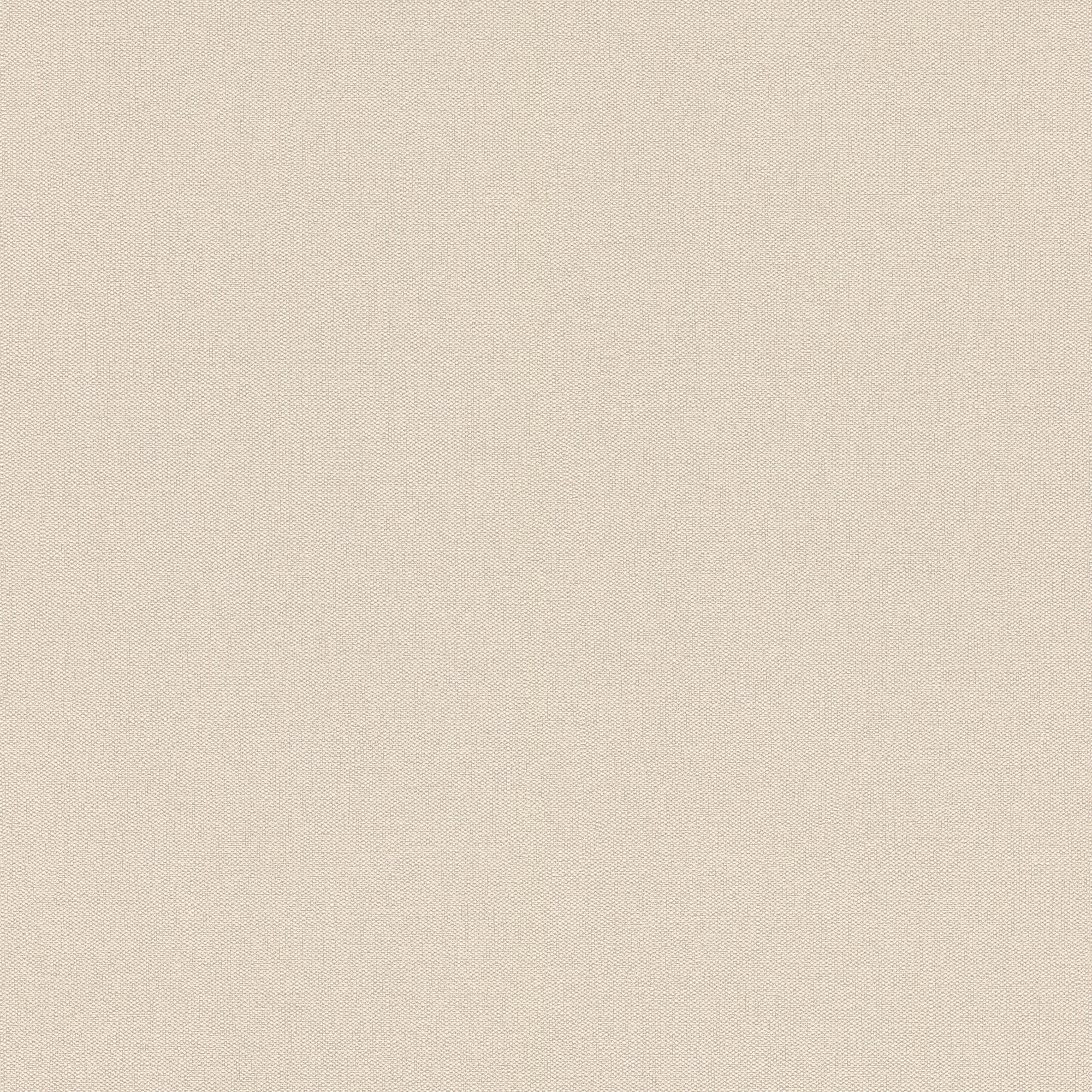 Imagen 1 de Papel pintado TNT Liso Texturado Utility Rasch - Beige 0,53 x 10 m Beige