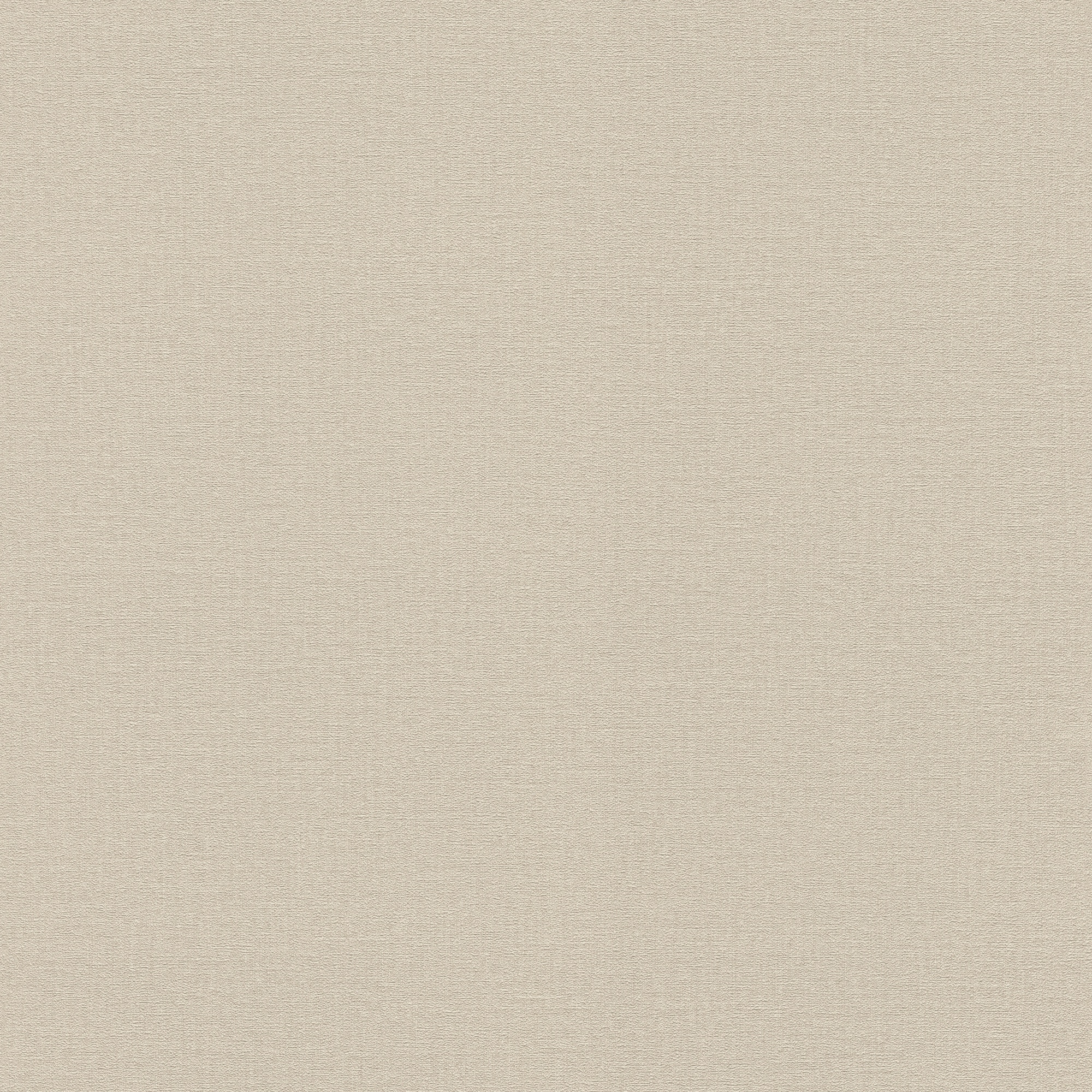 Papel pintado TNT Liso Textura Madagascar Rasch - Beige 0,53 x 10 m Beige-1