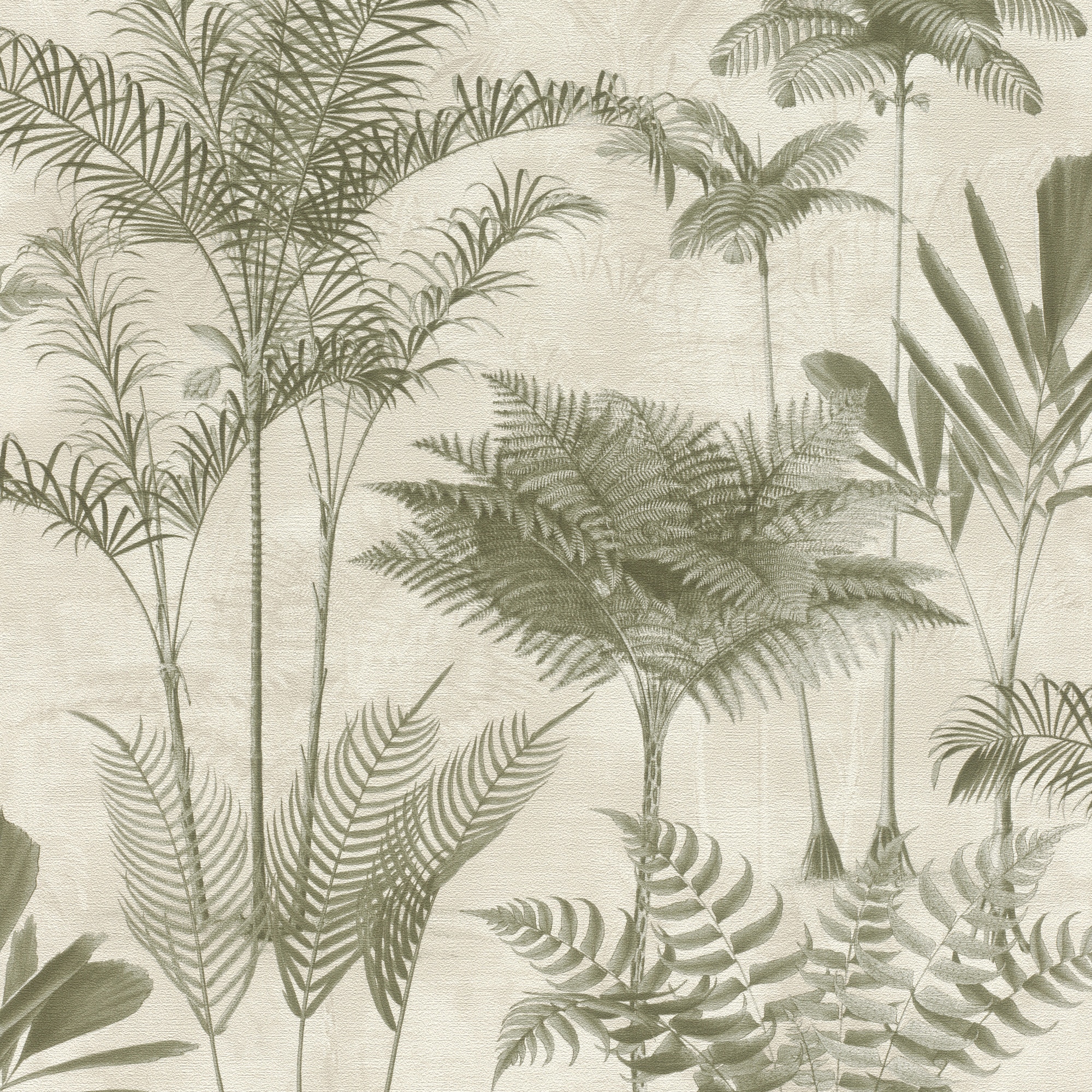 Imagem 0 de Papel de Parede TNT Palmeiras Madagáscar