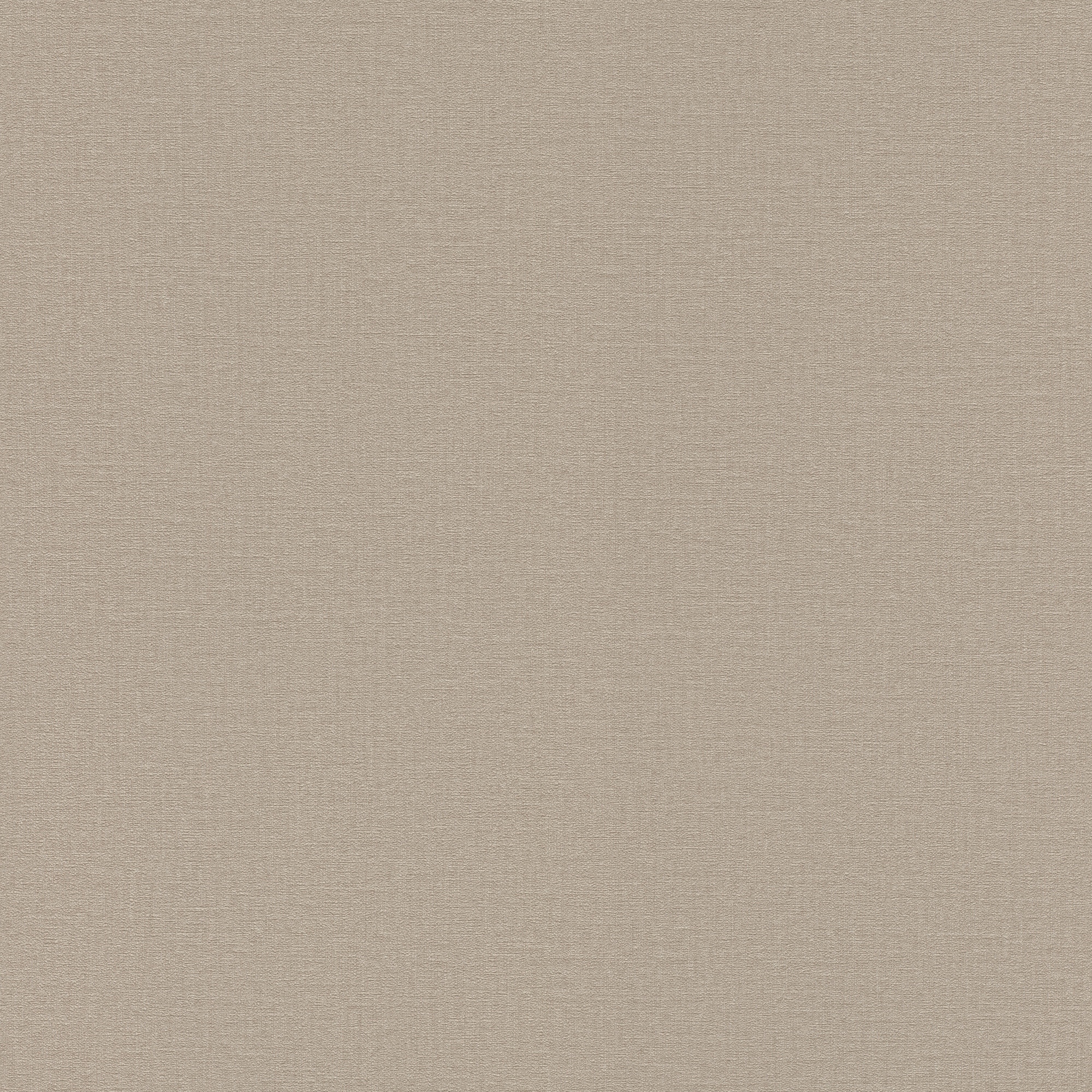Papel pintado TNT Liso Textura Madagascar Rasch - Marrón claro 0,53 x 10 m Marrón claro-1