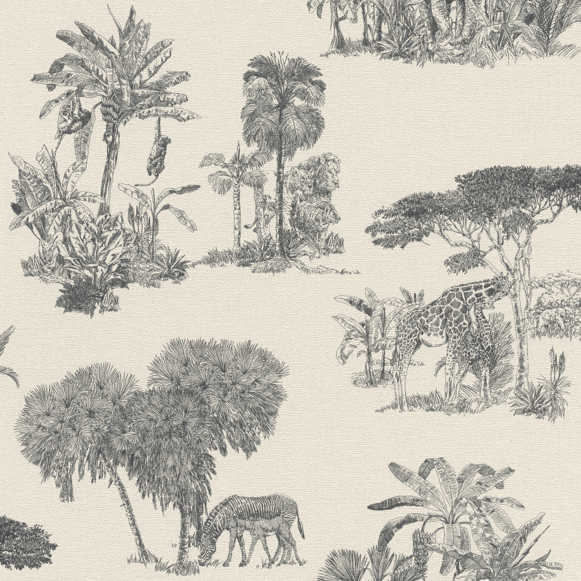 Imagen 1 de Papel pintado TNT Salvaje Madagascar Rasch - Beige 0,53 x 10 m Beige