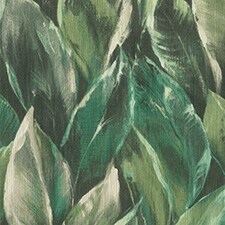 Verde Verde