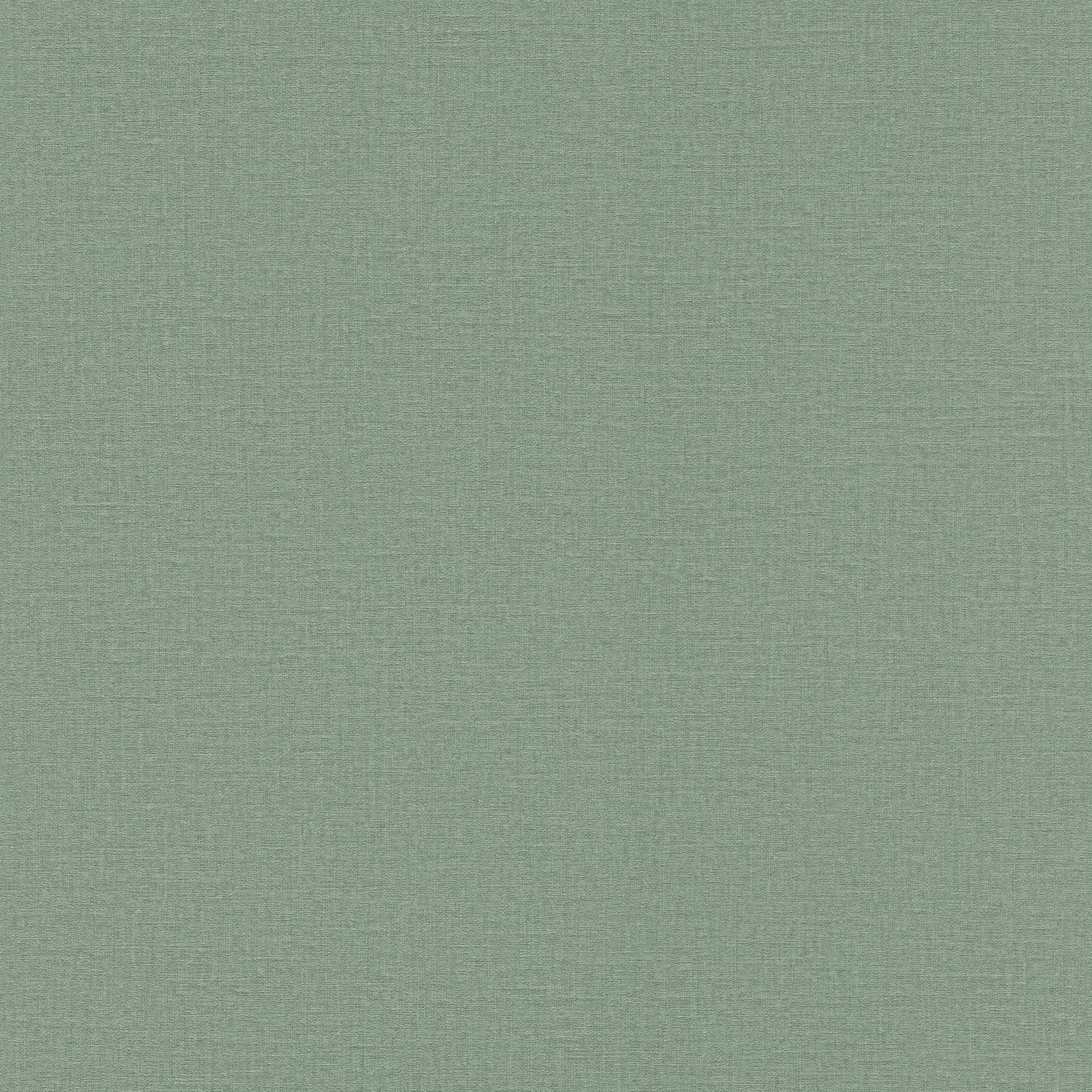 Papel pintado TNT Liso Textura Madagascar Rasch - Verde 0,53 x 10 m Verde-1
