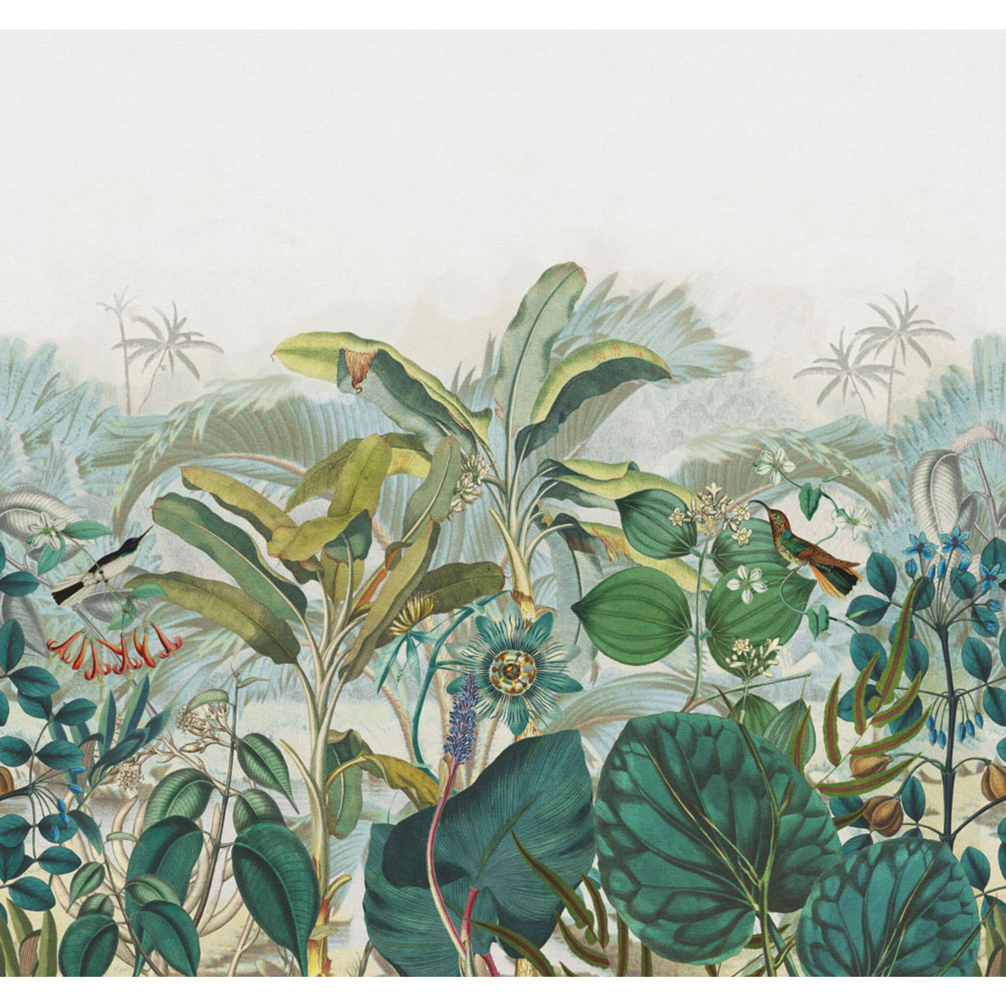 Papel de Parede TNT Tropical Madagáscar Multicolor-1