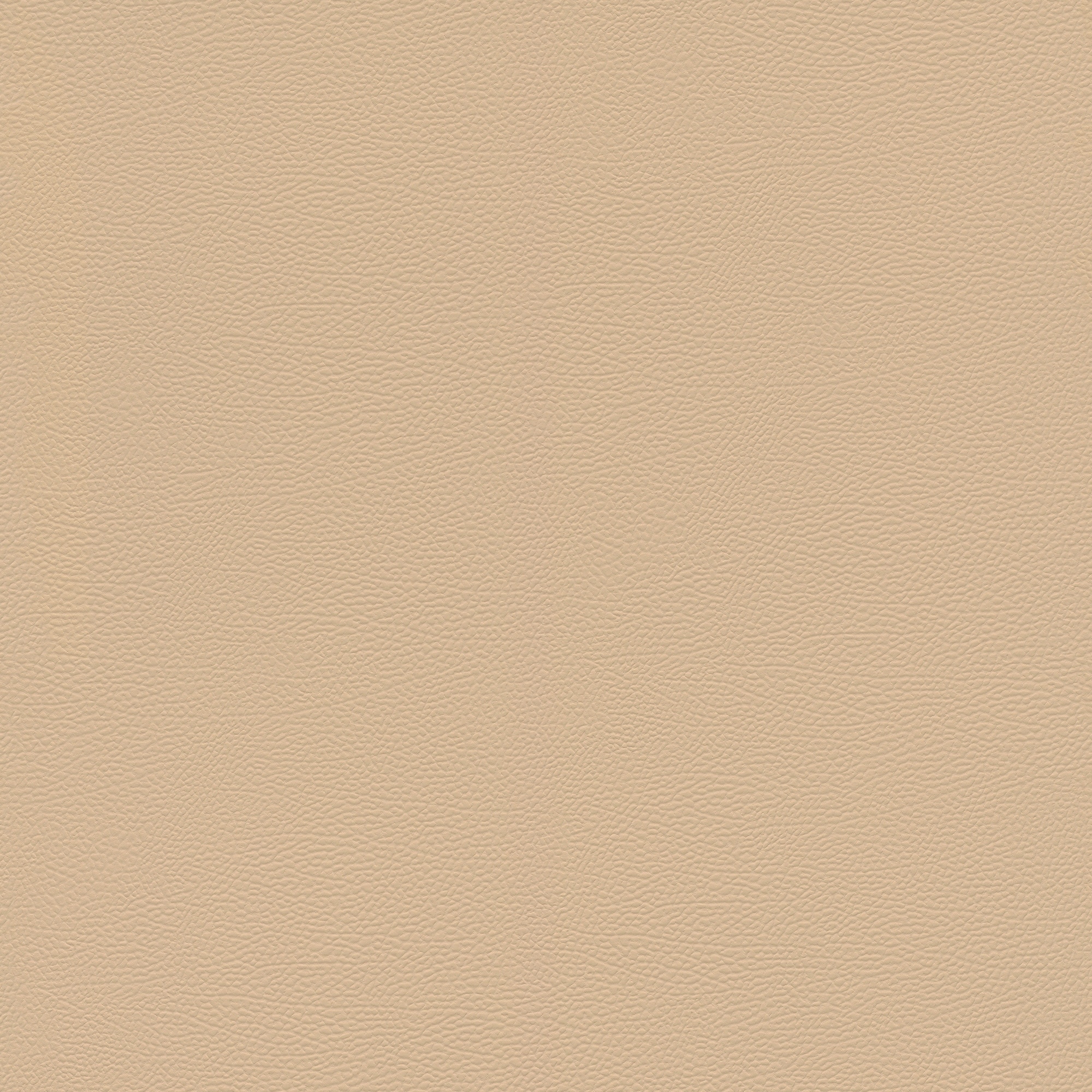 Papel pintado TNT Piel Kenya Rasch - Beige Beige-1