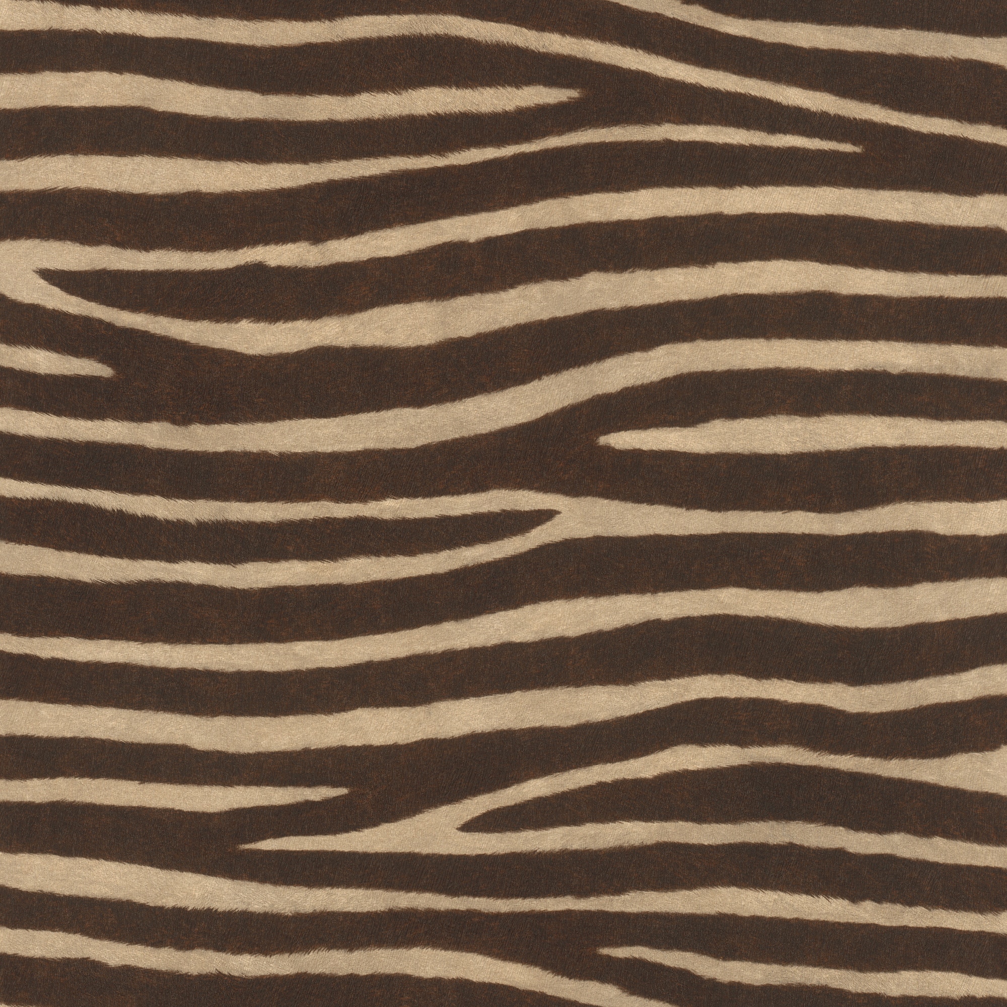 Papel Pintado TNT Padrão Zebra Kenya Castanho-1