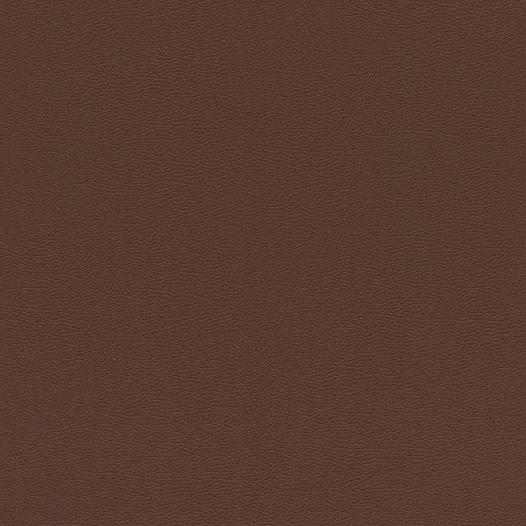 Papel pintado TNT Piel Kenya Rasch - Chocolate Chocolate-1