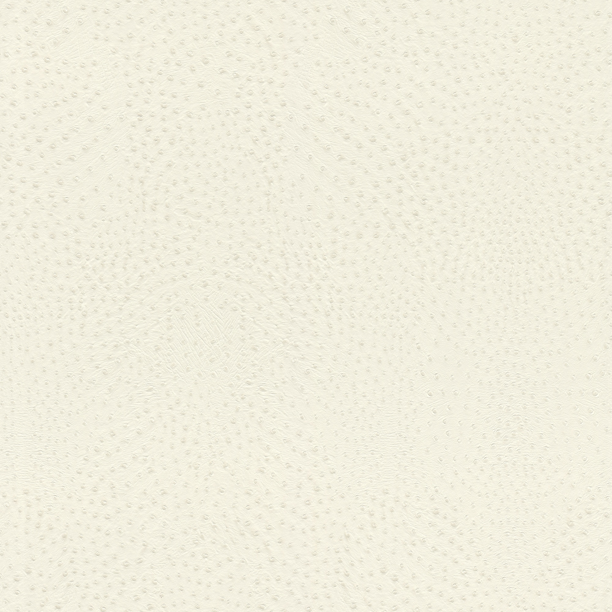 Papel pintado TNT Avestruz Kenya Rasch - Blanco Blanco-1