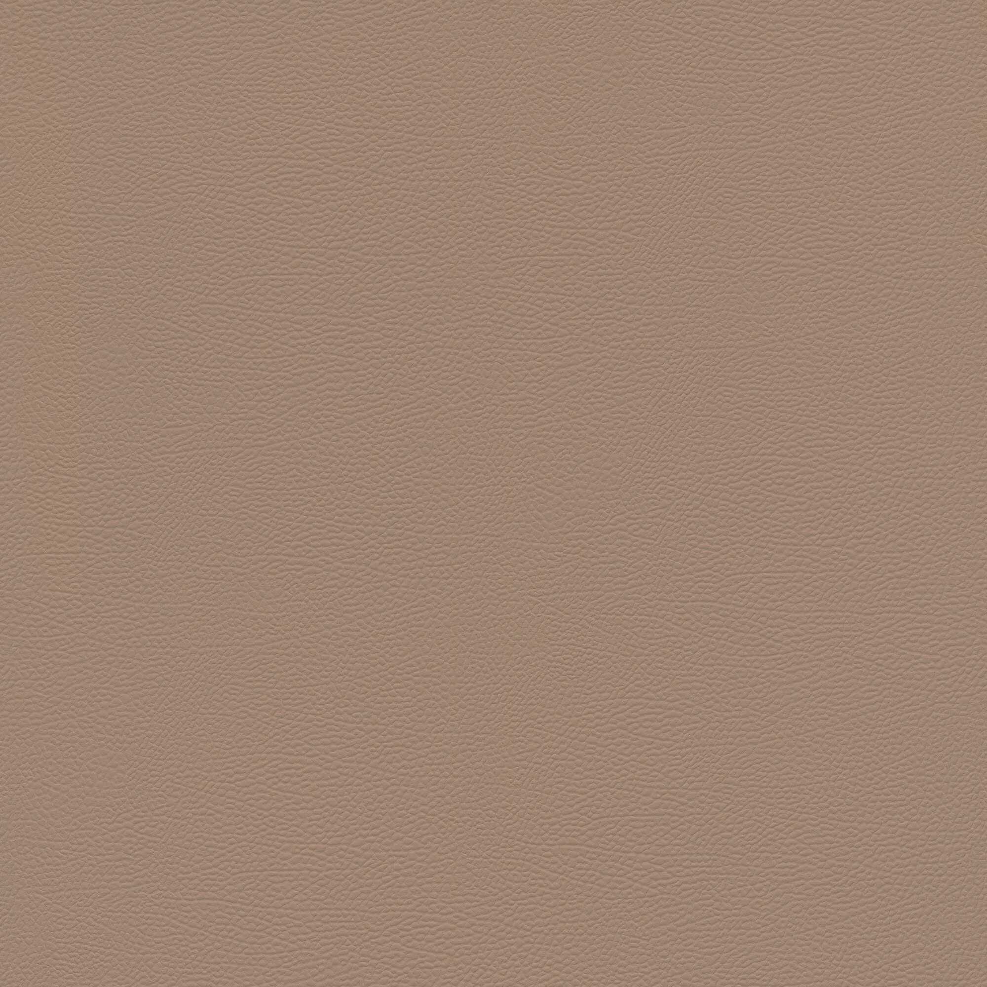 Papel pintado TNT Piel Kenya Rasch - Marrón Marrón-1