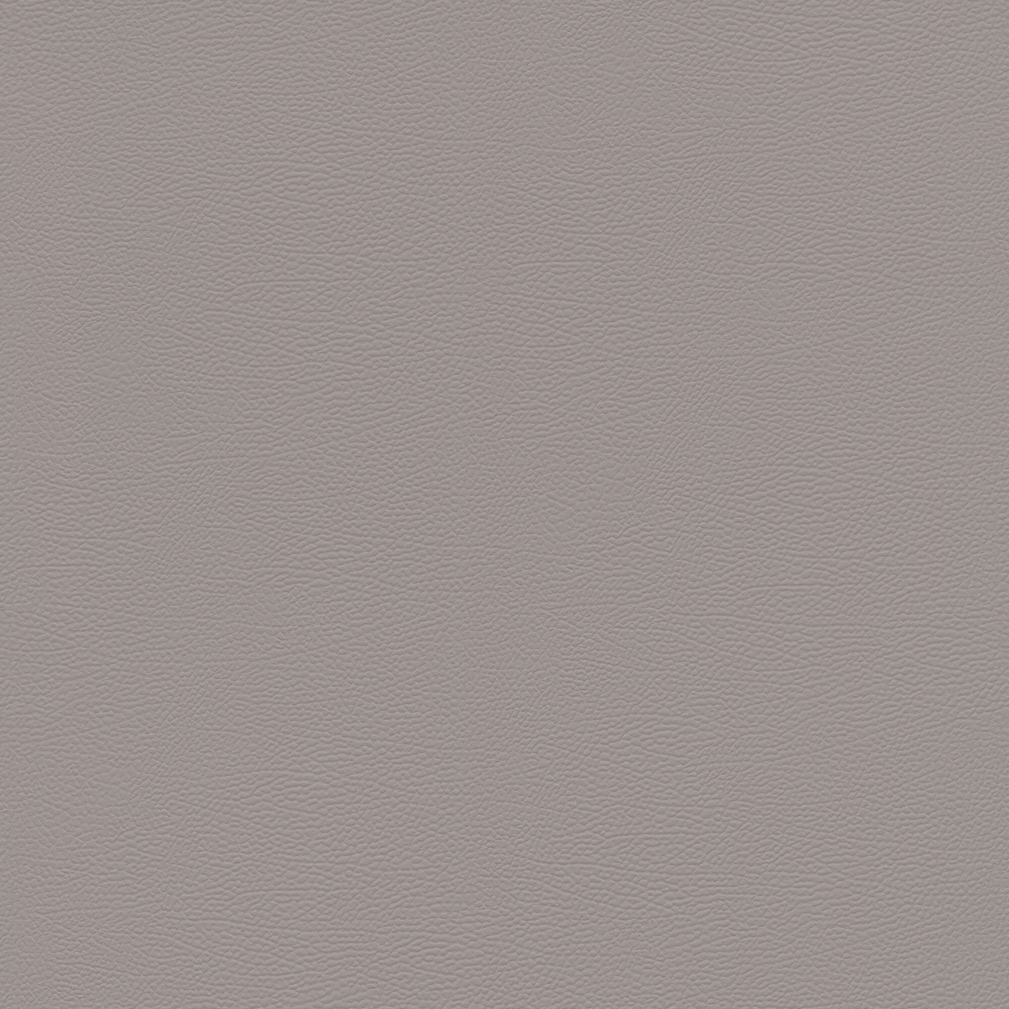 Papel pintado TNT Piel Kenya Rasch - Gris Gris-1
