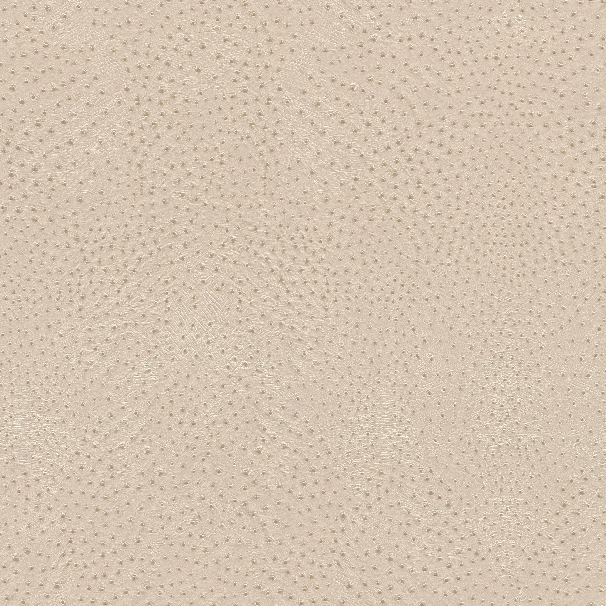 Papel Pintado TNT Avestruz Kenya Rosa-1