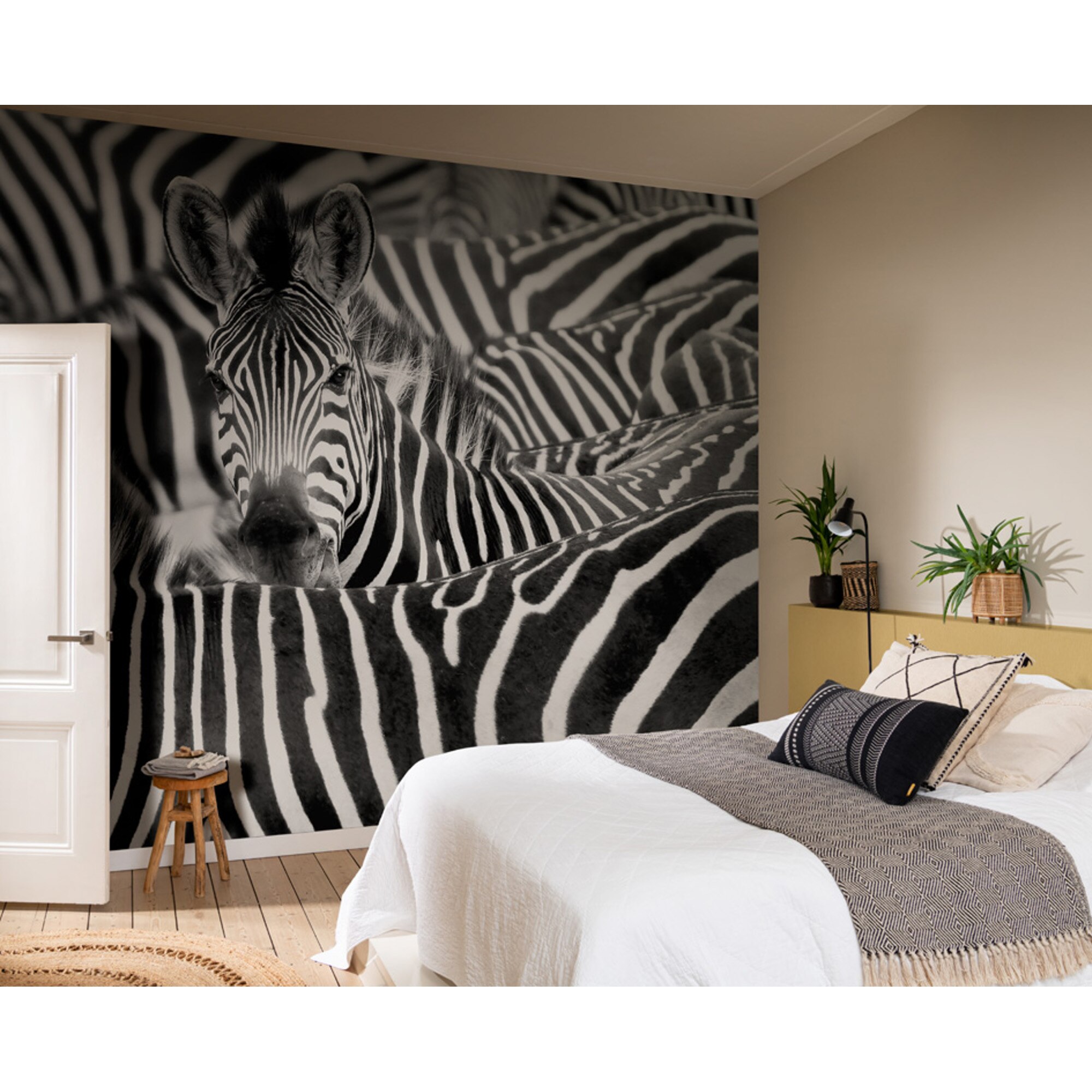 Mural TNT Zebras Kenya Preto-2