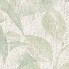Verde Verde