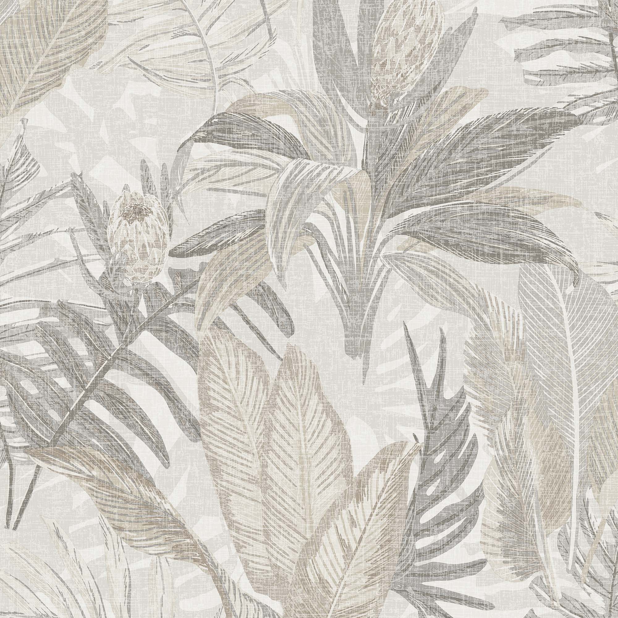 Imagen 1 de Papel pintado TNT Wild Protea Origins Rasch - Gris 0,53 x 10 m Gris