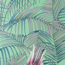 Verde Verde