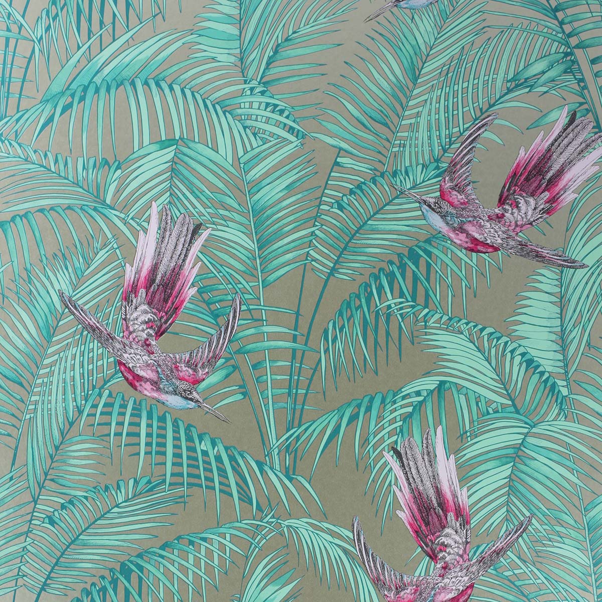 Papel pintado Sunbird Osborne & Little - Gris oscuro 0,53 x 10 m Gris oscuro-1