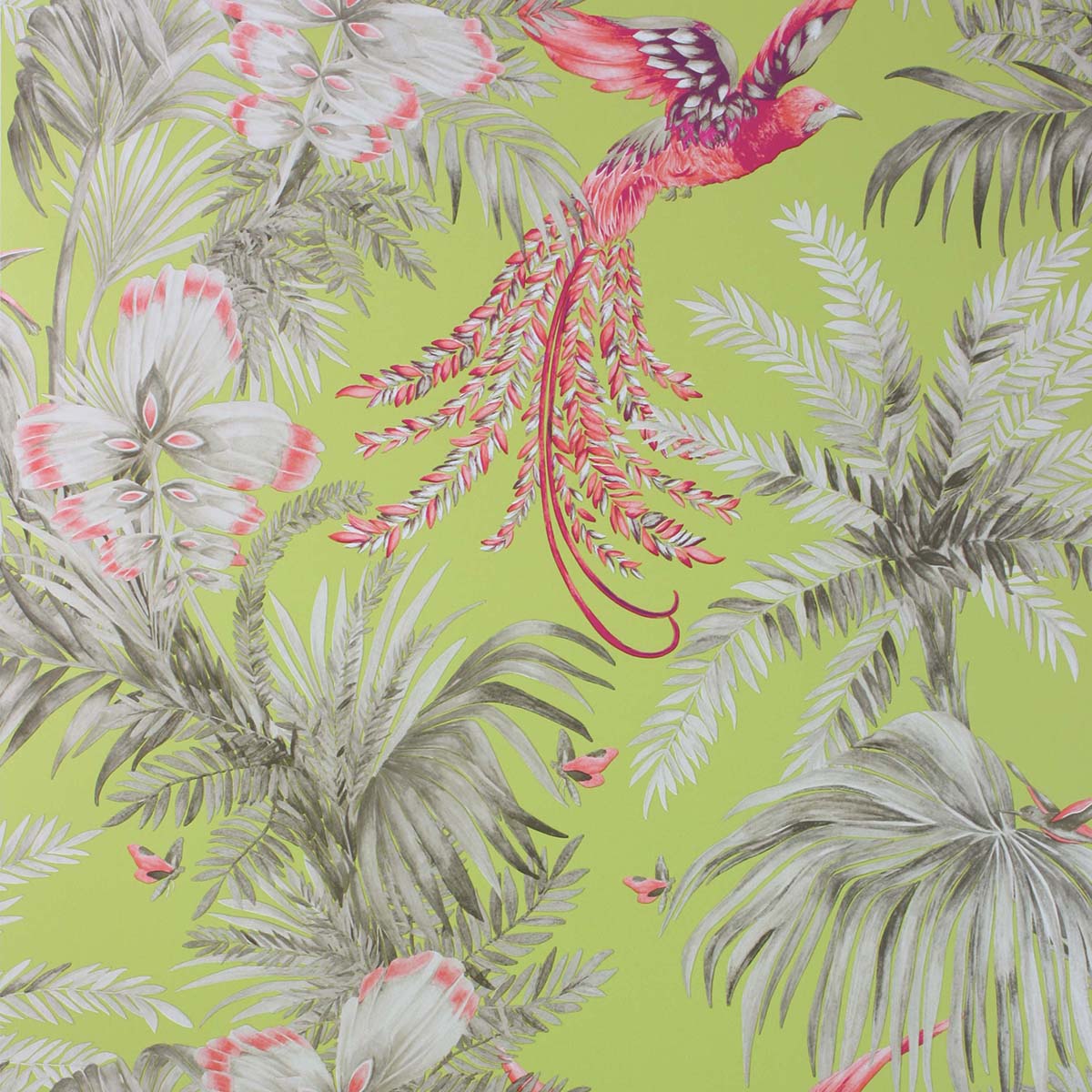 Papel pintado Bird of Paradise Osborne & Little - Verde 0,53 x 10 m Verde-1