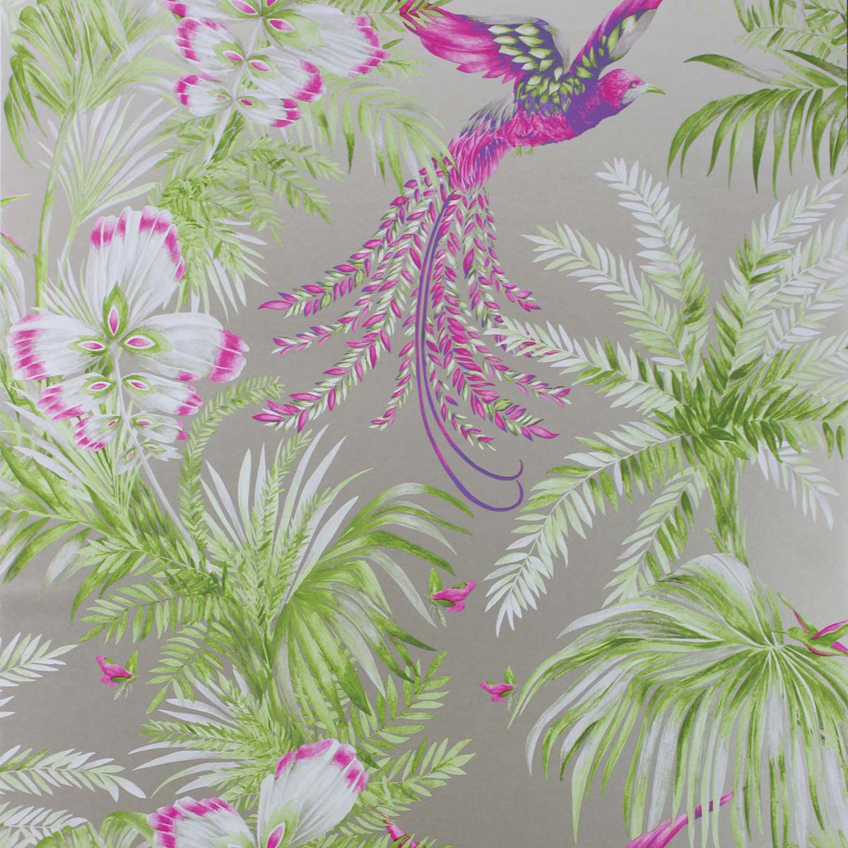 Papel pintado Bird of Paradise Osborne & Little - Gris 0,53 x 10 m Gris-1