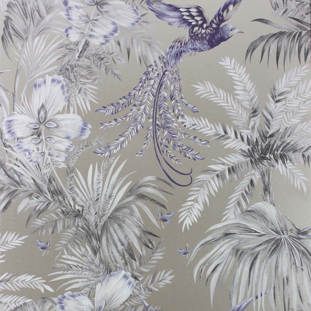Papel pintado Bird of Paradise Osborne & Little - Humo 0,53 x 10 m Humo-1