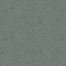 Verde Verde