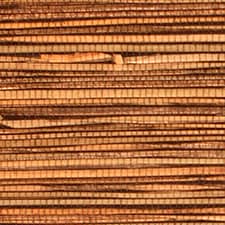 Castanho Castanho