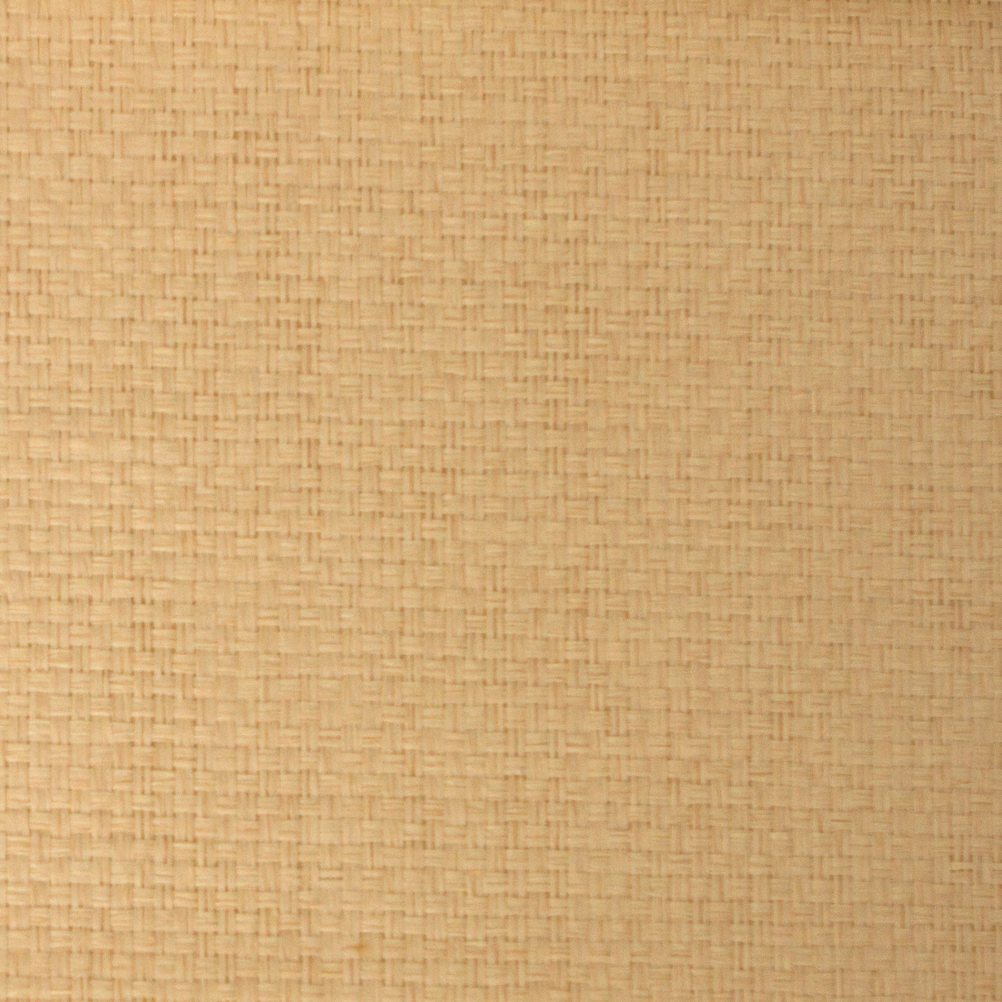 Papel de Parede Takeshi New Kyoto Bege-1