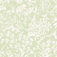 Verde Verde