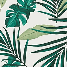 Verde Verde