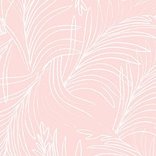 Rosa Rosa