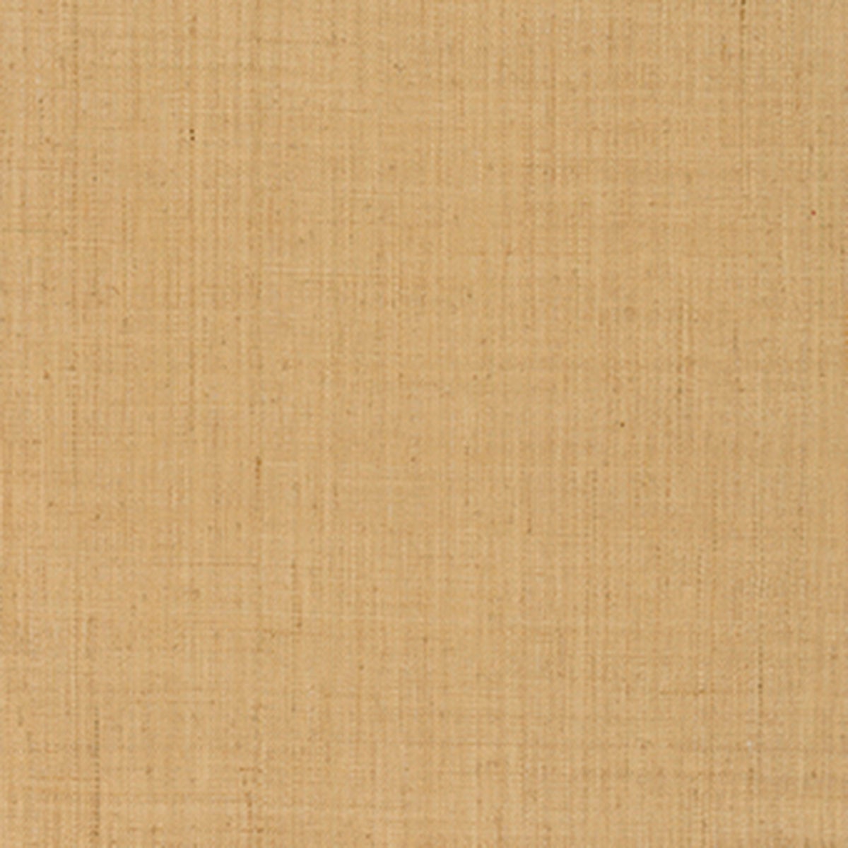 Imagem 0 de Papel de Parede Lantana Weave da Coleção Modern Grassweaves