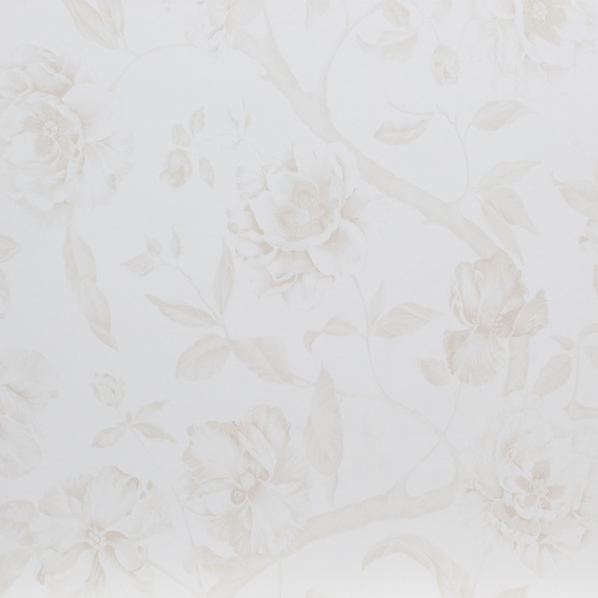 Imagem 0 de Papel de parede Adagio New DRT