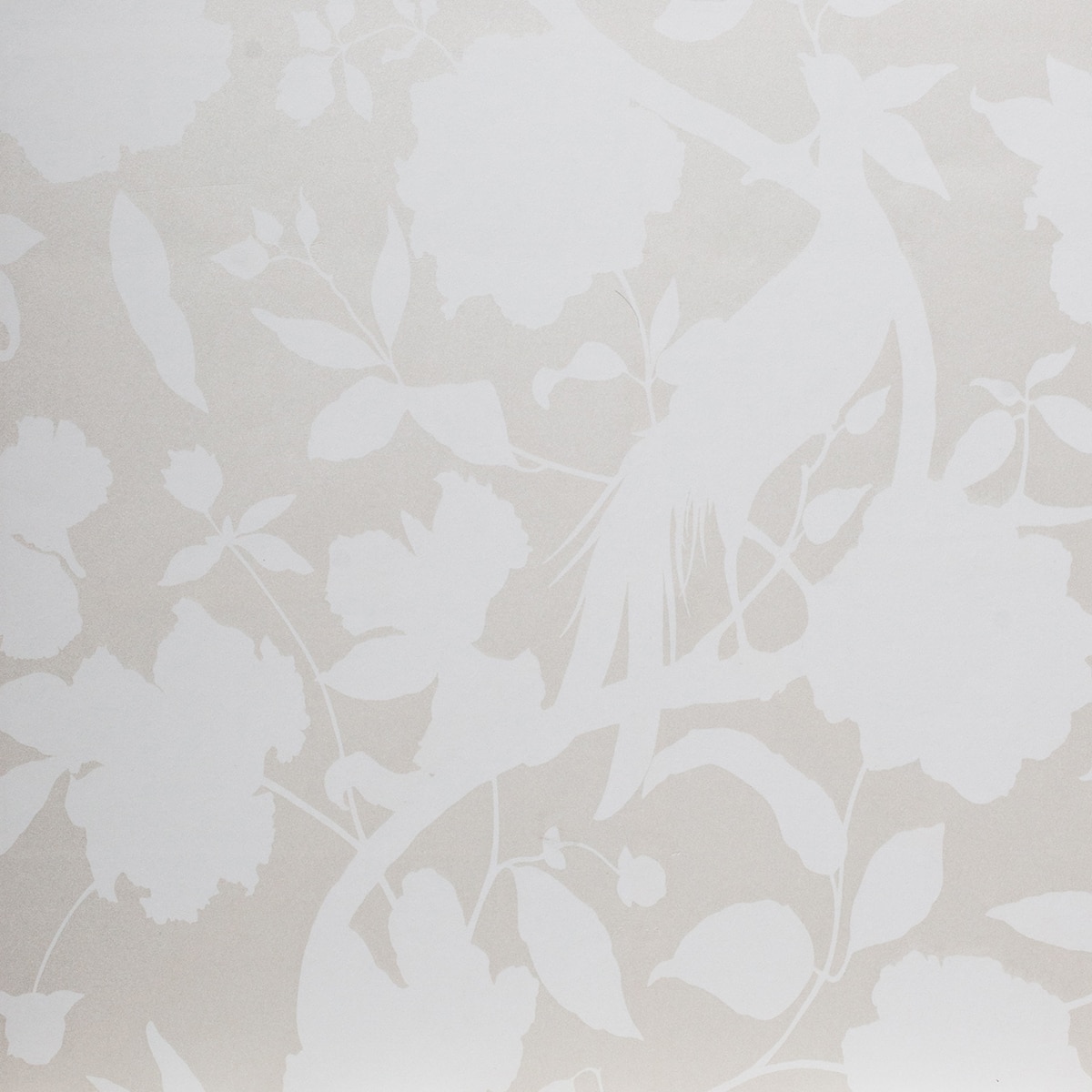 Imagem 0 de Papel de parede New Senso DRT