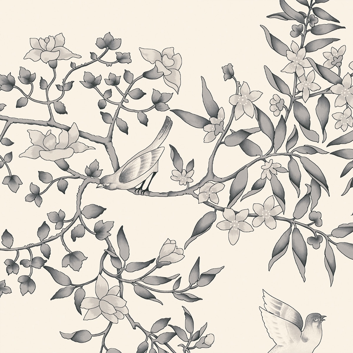 Imagem 0 de Papel de parede Vivace DRT