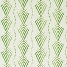Verde Verde