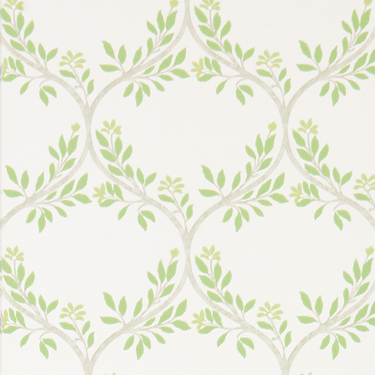 Papel pintado Arber Nina Campbell - Verde 0,52 x 10 m Verde-1