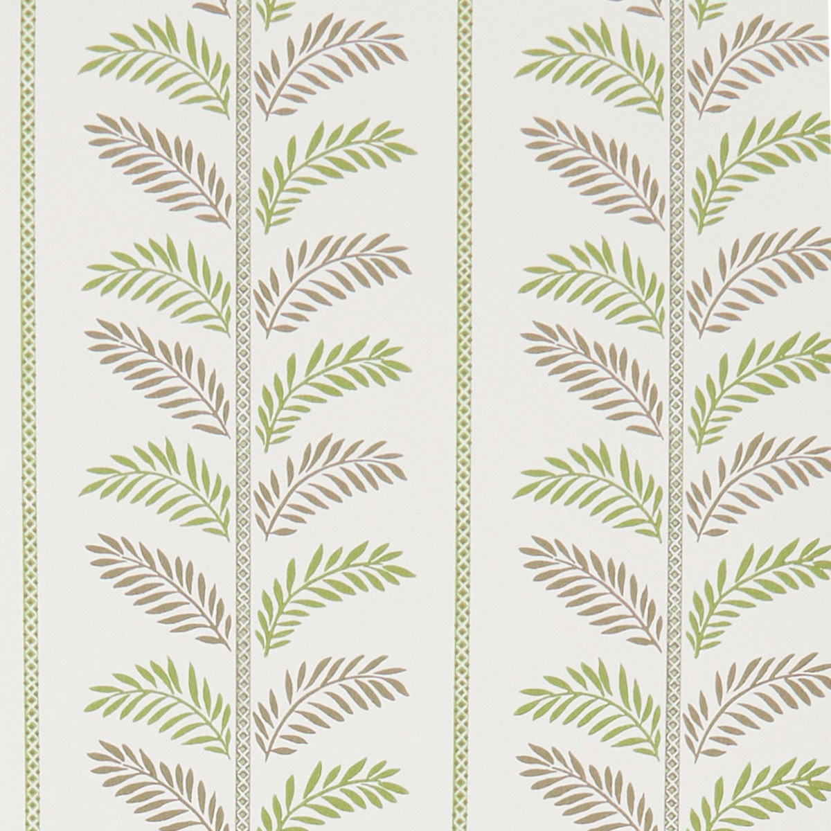 Papel pintado Plumier Nina Campbell - Verde 0,52 x 10 m Verde-1