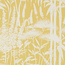 Ocre Ocre