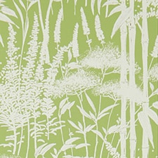 Verde Verde
